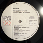 Wigwam - Lucky golden stripes and starpose LP ORIG. -76 - pikkukuva 4