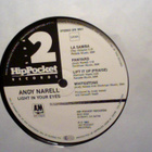 ANDY NARELL  ::  LIGHT IN YOUR EYES  ::  VINYYLI  LP    1983 - pikkukuva 4