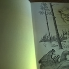 Kai Heinonen: Vänrikki Stoolin turinat - pikkukuva 3