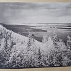 Koli, näkymä vesistölle, SMY nro 25, mv vkpk, ei p. - pikkukuva 1