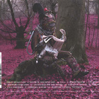 Kula Shaker :  Peasants Pigs & Astronauts  -  CD - pikkukuva 3
