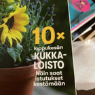 Kotivinkki 16/24 - pikkukuva 4