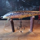 Rapala Floating Finland 6cm TR - pikkukuva 2