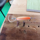 Salmo Floating 3,5cm - pikkukuva 4
