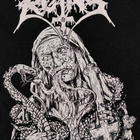 Lie in Ruins : Venomous Tongues - paita - pikkukuva 3
