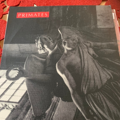 PRIMATES: A Cat And Mouse Play * Raw ! * FIN 1992