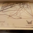 EXIVIOUS - LIMINAL UUSI FIN 2014 CLEAR W/ BLK SPLATTER 2LP - pikkukuva 2