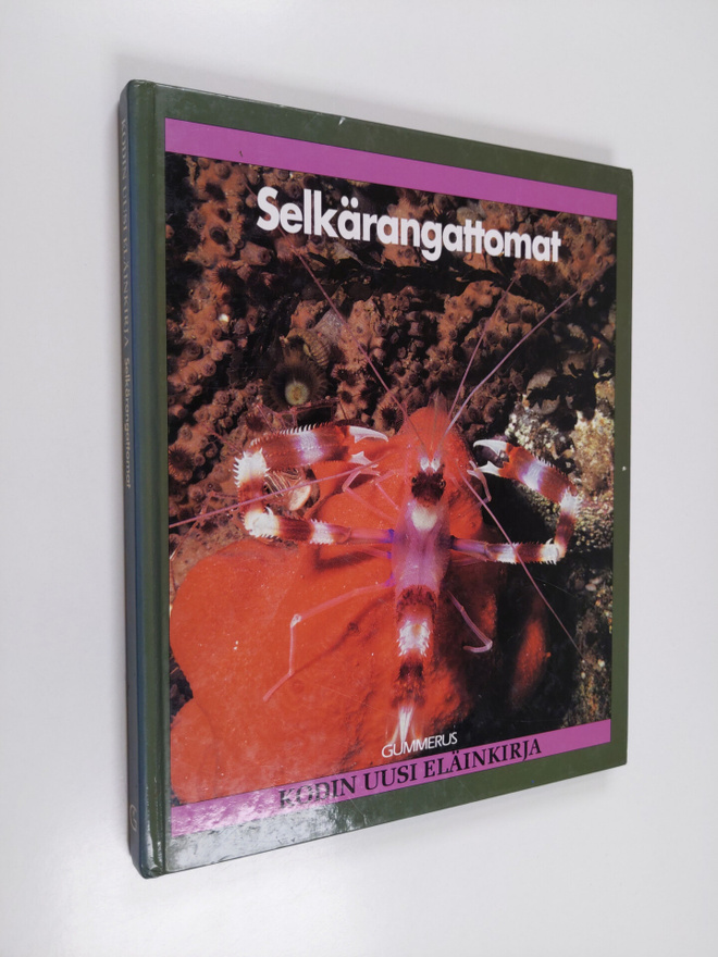 Kodin uusi eläinkirja : Selkärangattomat
