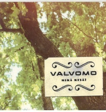 CDS VALVOMO MIKÄ KESÄ