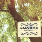 CDS VALVOMO MIKÄ KESÄ - pikkukuva 1