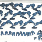 WHFB - 15kpl Vampire Counts Dire Wolves [F60] - pikkukuva 2