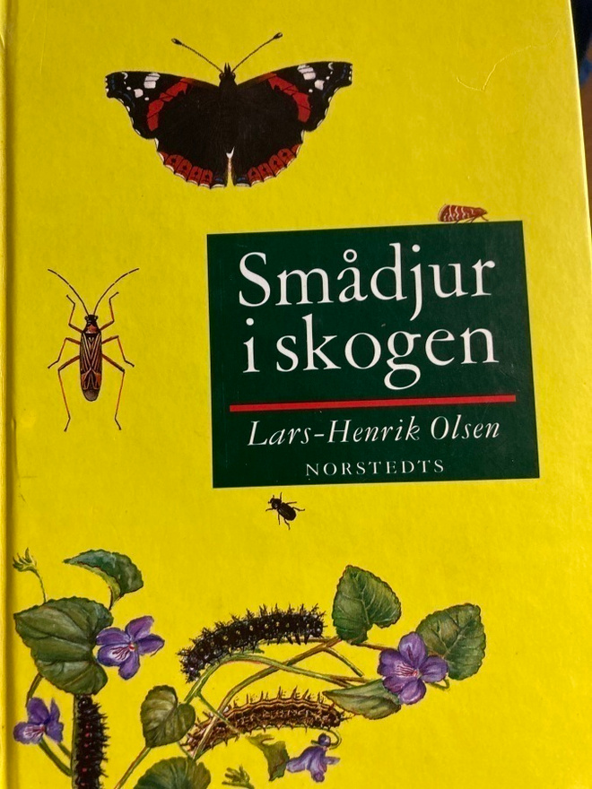 OLSEN: SMÅDJUR I SKOGEN