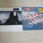 NIPPU 22: Pop Rock New Wave -LP:tä x 8kpl - pikkukuva 2