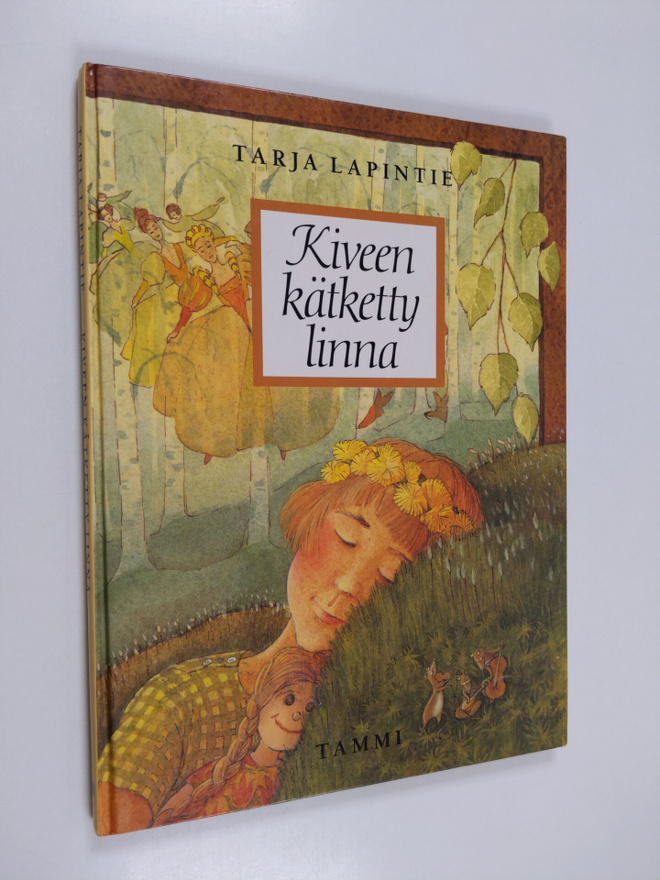 Tarja Lapintie : Kiveen kätketty linna
