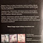 Julie Kagawa: RAUTAKUNINGATAR - pikkukuva 2