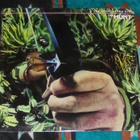 THE HUNT ~ The Thrill Of The Kill ~ LP - pikkukuva 1