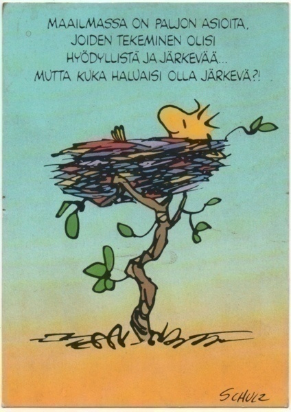 Tenavat : Kuka haluaisi olla järkevä? 1990