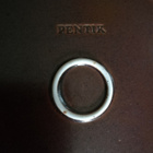 Pentik- ruskea Ruska lautanen d= 21 cm 6 kpl - pikkukuva 1