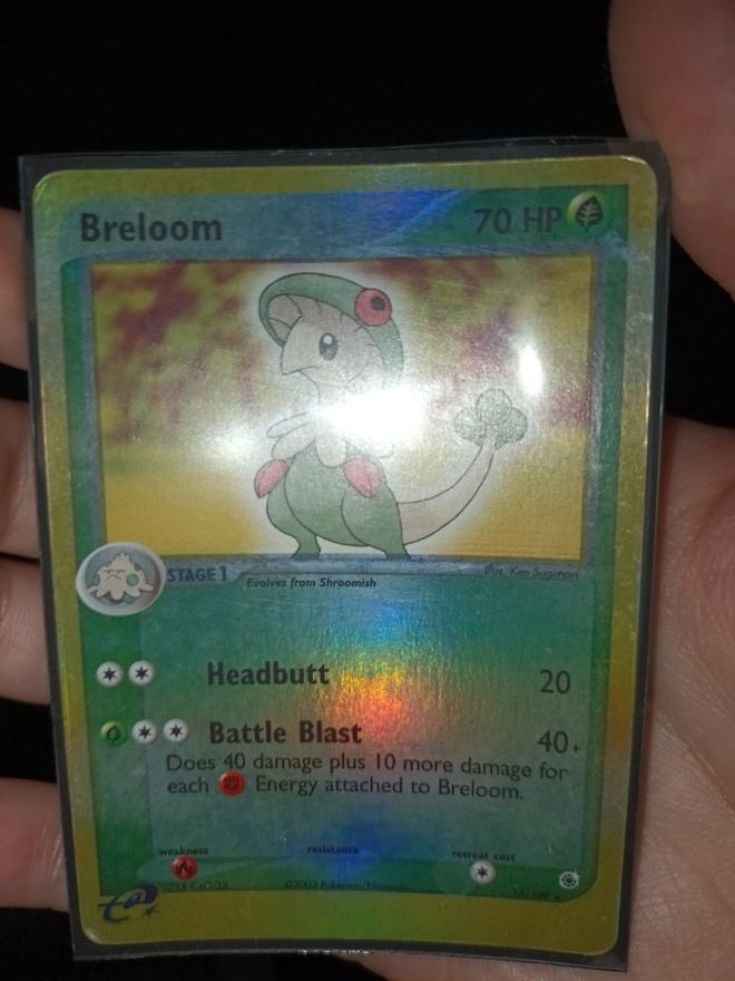 RARE Breloom 16/109 Holo EX Ruby & Sapphire Pokémon Card