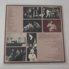Tapani Hyvönen LP 1982 Jos Vaikka Elämää Rakastan... – Tapan - pikkukuva 2