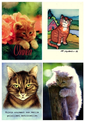 4 kissa korttia, käyttämättömiä