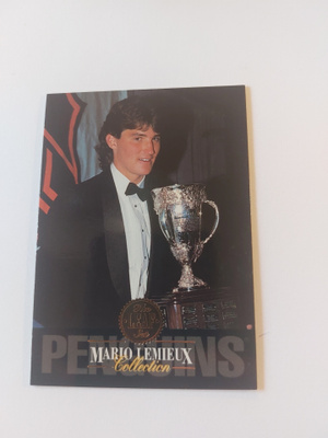 1993-94 Leaf Mario Lemieux #4 Mario Lemieux