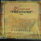 WYNONNA - "FREEDOM" FROM THE PRINCE OF EGYPT NASHVILLE CDS - pikkukuva 1