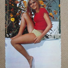 neljä pin-up postikorttia - pikkukuva 5