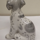 LOMONOSOV, DALMATIALAINEN - pikkukuva 2