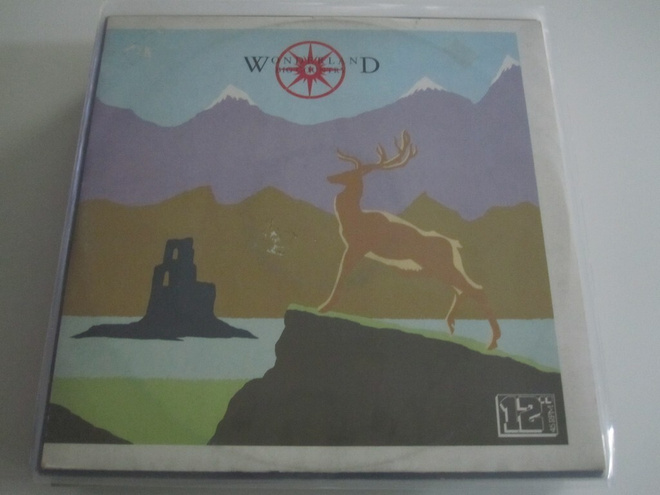 Big Country: Wonderland 12"