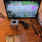 Nintendo GameCube Pikmin 2 (JPN) testattu - pikkukuva 4