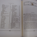 OLYMPIALAISET 1928 - YRJÖ HALME - pikkukuva 2