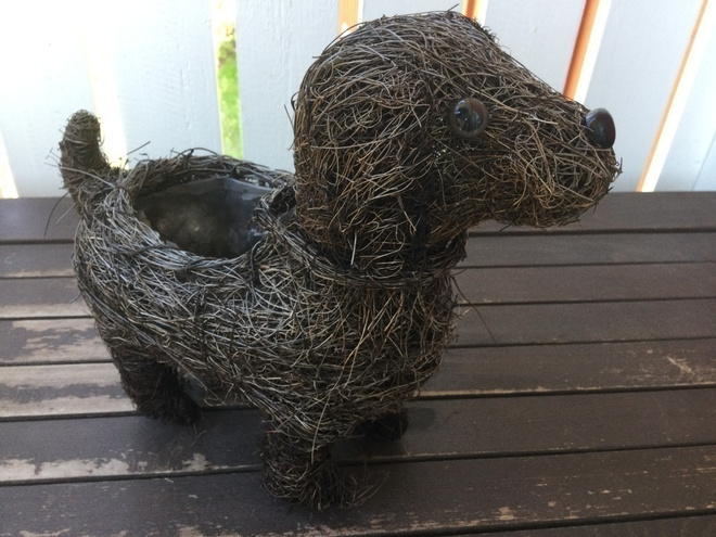KOIRA-RUUKKU.  (Koiramäen pajutalli).    nouto.