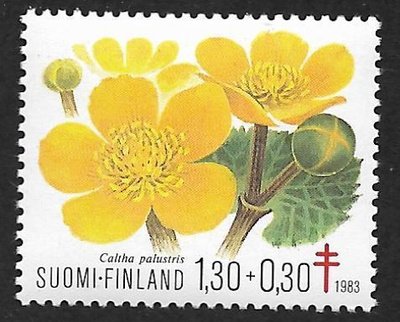 Tuberkuloosi 1,30+0,30mk 1983 (LAPE 932) **