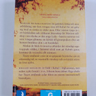 Khaled Hosseini : Tusen strålande solar - pikkukuva 2