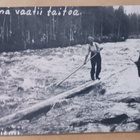 Tukinuittoa - tukkimies sestoo tukilla keksi kädessä, vkpk - pikkukuva 1