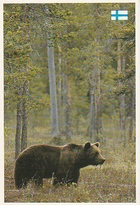 POSTIKORTTI Karhu, Suomi-tunnus