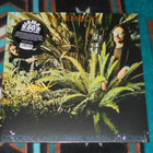 JIM PEMBROKE Corporal Cauliflowers Mental Function ~ LP UUSI - pikkukuva 1
