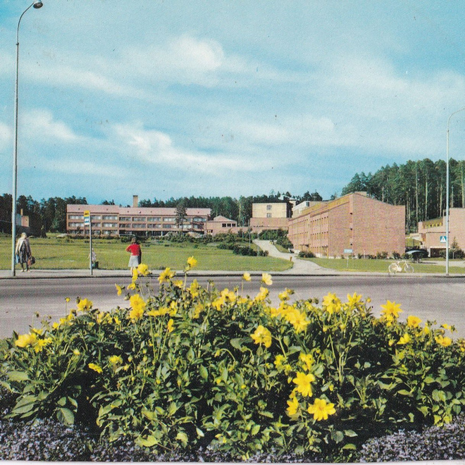Jyväskylä. Yliopisto. , e286