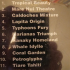 A Musical Voyage To Oceania CD - pikkukuva 2