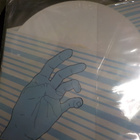 BREATHER RESIST - CHARMER M-/M- LP WHITE VINYL  2004 US - pikkukuva 2