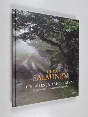 Jukka Salminen : Tie, mies ja tähtitaivas : pyhiinvaellus...