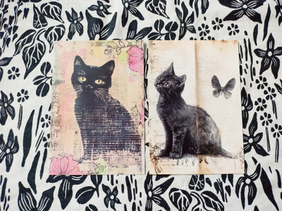 ~Kissa kortti~ 2kpl