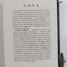 Antonina Vallentin : Goya - pikkukuva 2
