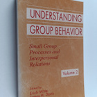 Erich H. Witte : Understanding group behavior Vol. 2 : Sm... - pikkukuva 1