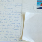 Eila Laaksonen: sinivuokkoja, kulkenut 1995 - pikkukuva 2