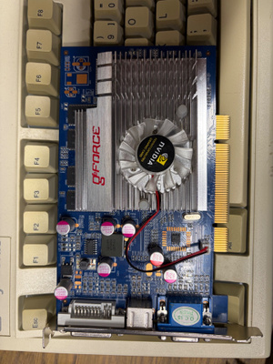 Geforce FX5500 Pci