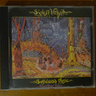 Sielun veljet - Softwood music CD - pikkukuva 1