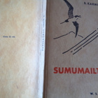 Karmo: Sumumailta - Petsamo 1932 - pikkukuva 1