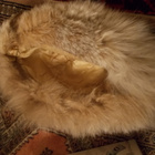 TURKISHATTU - pikkukuva 1